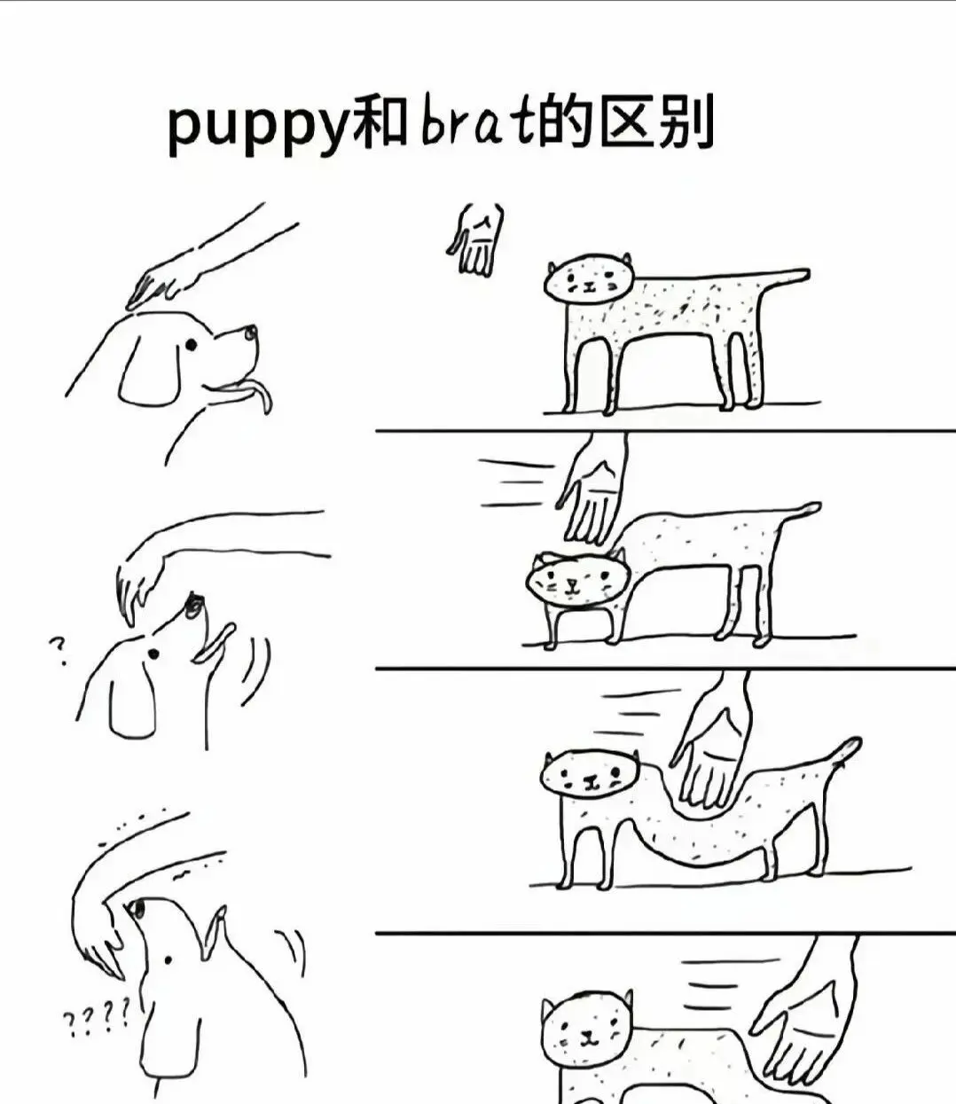 k8猫系 - 微信图片_2025-11-13_180940_765