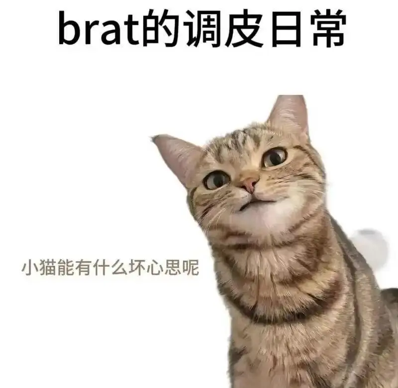 西檬之家-BDSM中的Sub是什么意思？新人核心概念解析