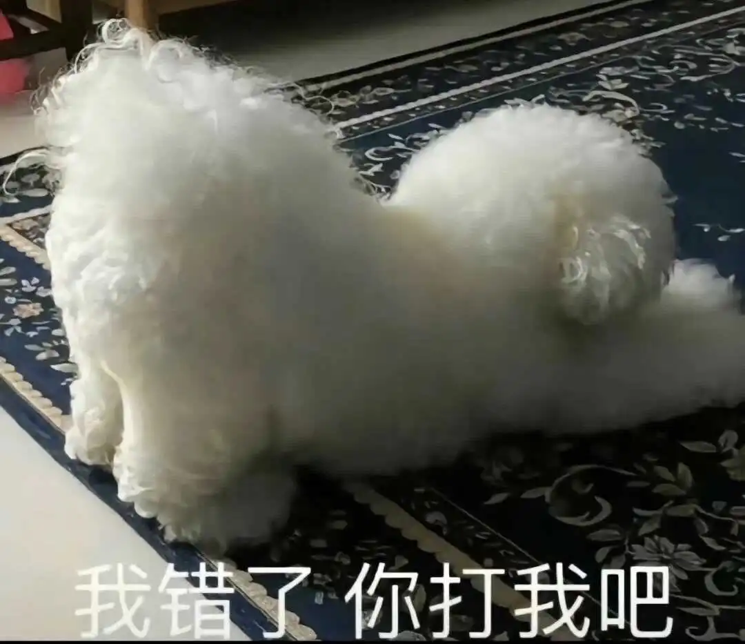 西檬之家-字母圈新人入圈指南：读懂BDSM的核心术语与原则