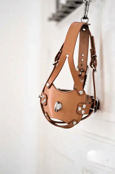 【西檬之家】k8猫系是什么意思？BDSM圈内宠物扮演入门指南