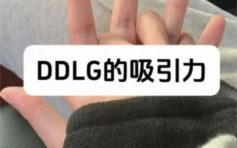 Ddlg是什么 - 2025-11-13 192158