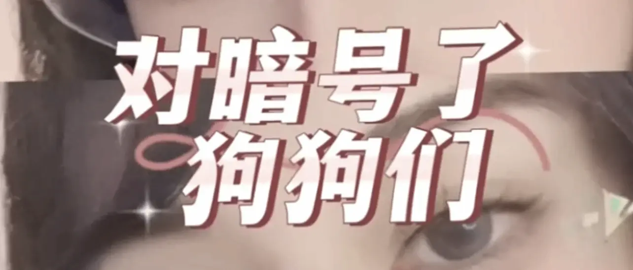 西檬之家-BDSM新人权威指南：理解字母圈的SSC原则与核心术语