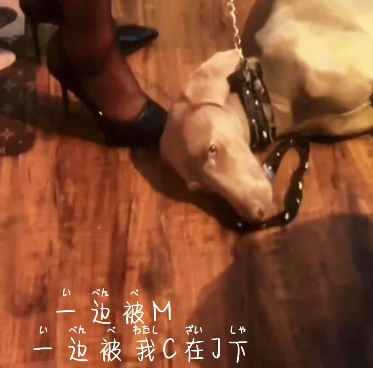【西檬之家】BD入门：解析字母圈新人必备的BDSM核心知识