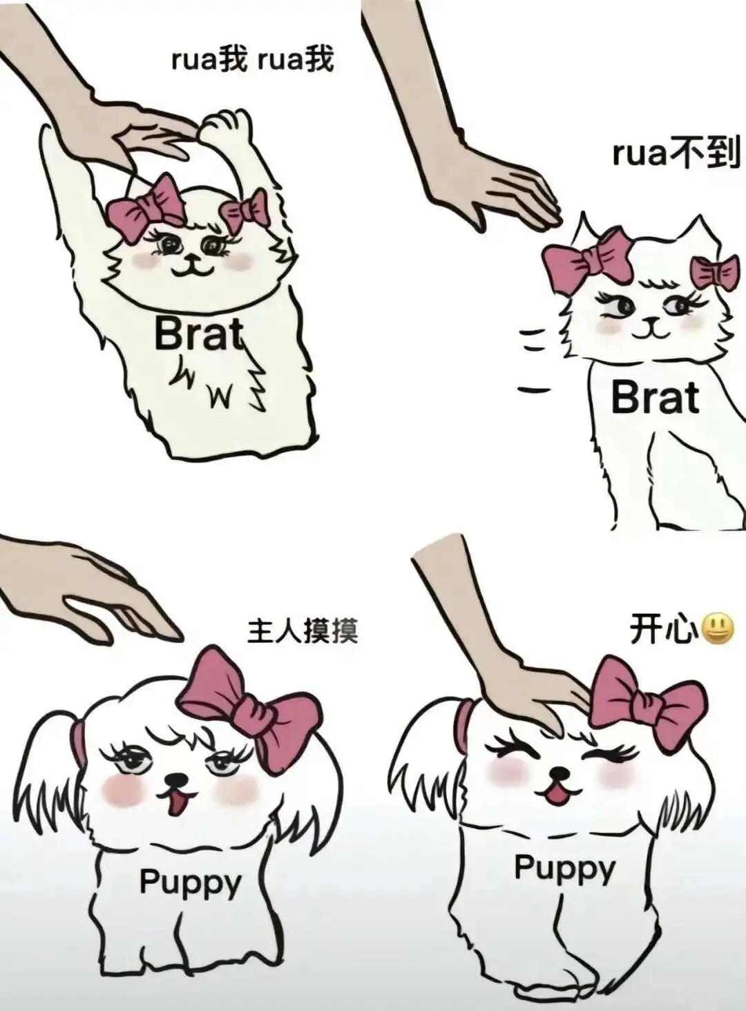 k9是什么 - 2023_12_05_21_27_IMG_9364
